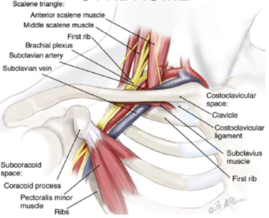 Screen Shot 2023 11 13 at 5 57 34 PM